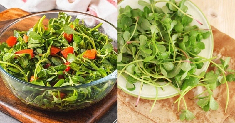 Rau càng cua nên được dùng vừa đủ, kết hợp đa dạng với các loại rau khác trong tuần. 