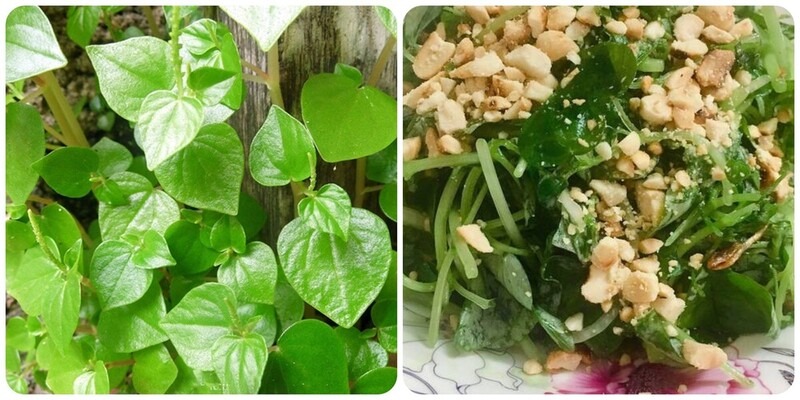 Rau càng cua là thực phẩm hỗ trợ bữa ăn, không nên xem là thuốc chữa bệnh 